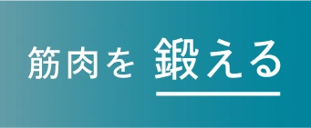 筋肉を鍛える